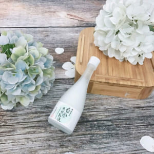 Lotion Kuramoto Bijin chiết xuất men rượu Sake chai 120ml